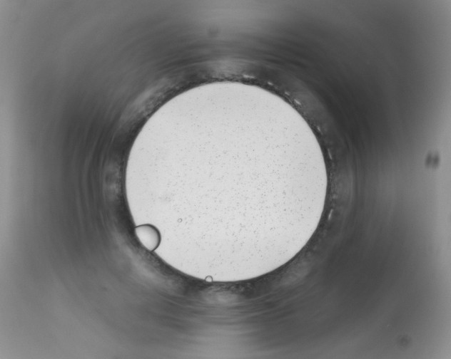 X0000113090648200910091258