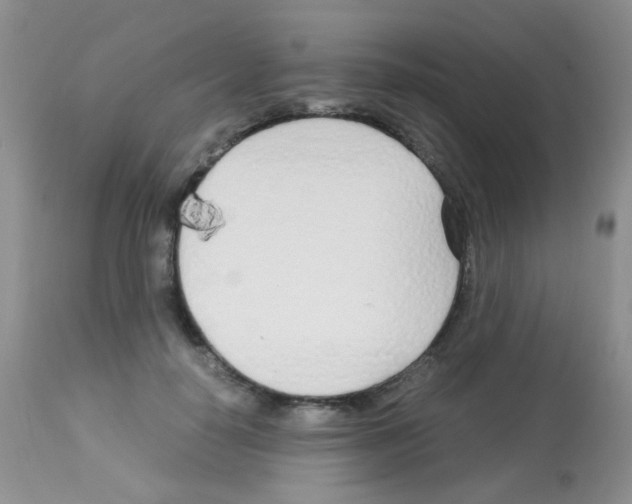 X0000113090650200910091258