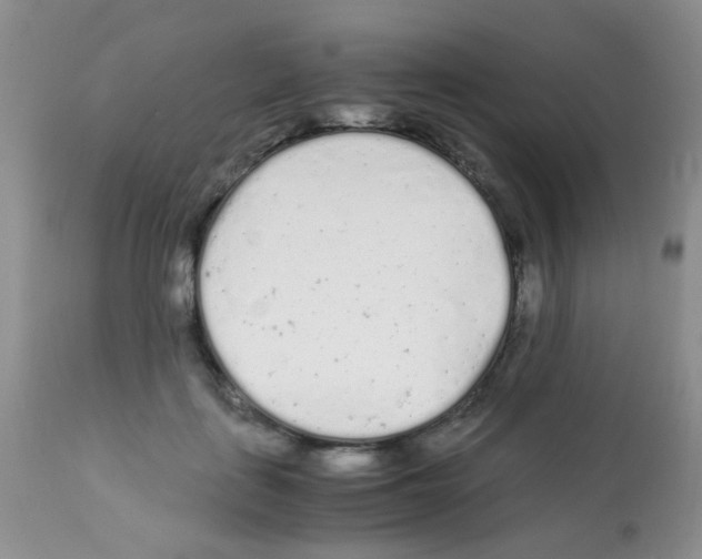 X0000113090651200910091258