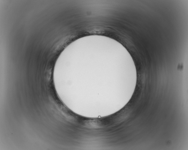 X0000113090652200910091258