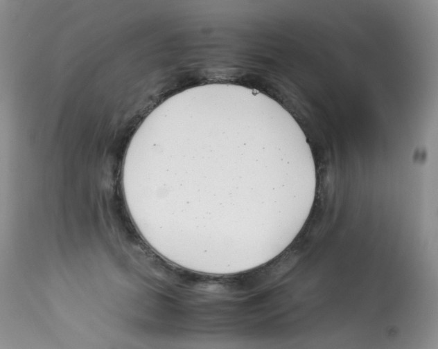 X0000113090655200910091258