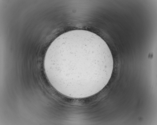 X0000113090656200910091258