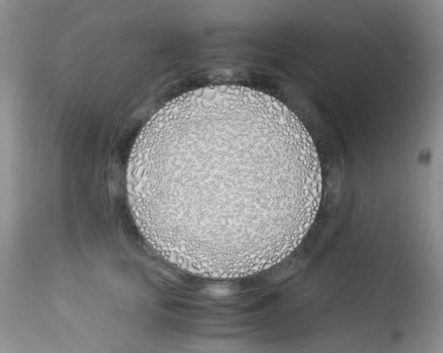 X0000113090659200910091258