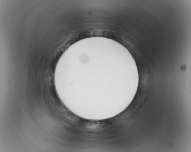 X0000113090661200910091259
