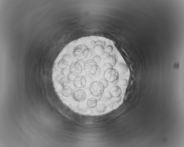 X0000113090662200910091259