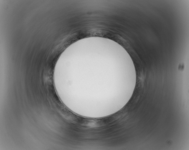 X0000113090663200910091259
