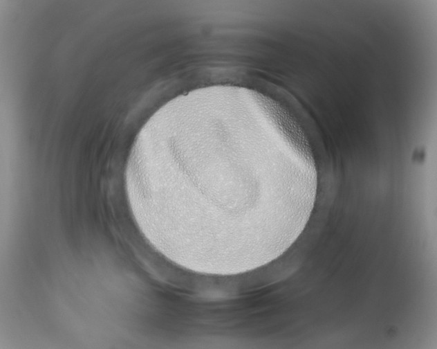 X0000113090667200910091259