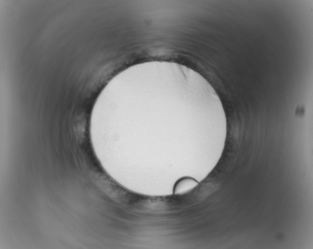 X0000113090668200910091259