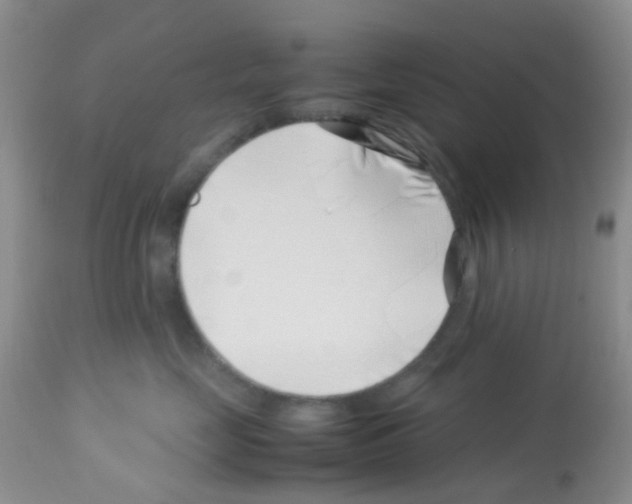 X0000113090669200910091259
