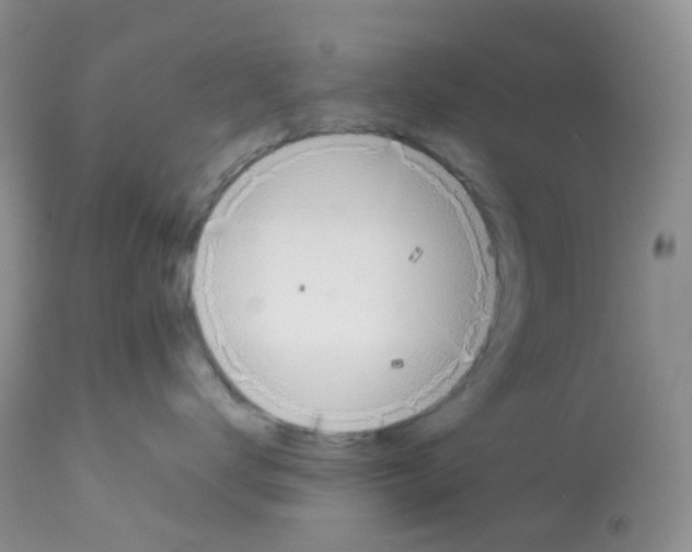 X0000113090672200910091259