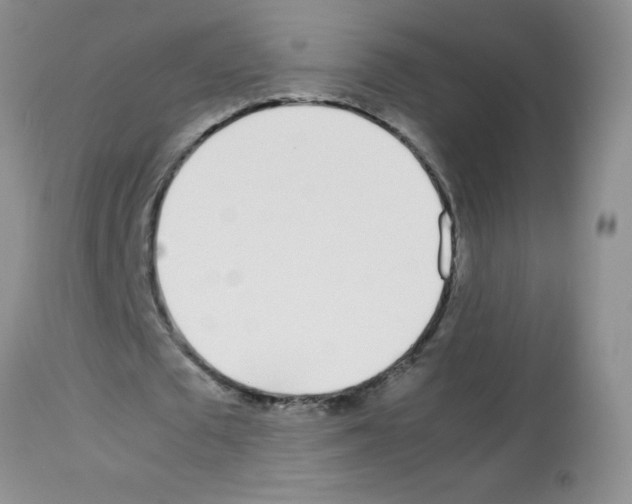 X0000113090673200910091258