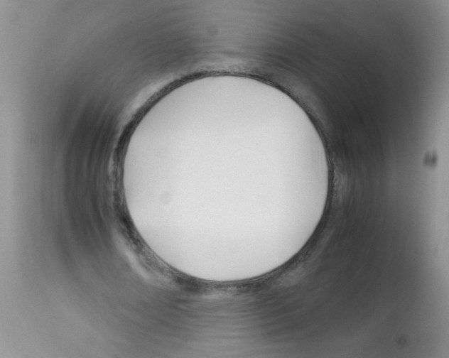 X0000113090674200910091258