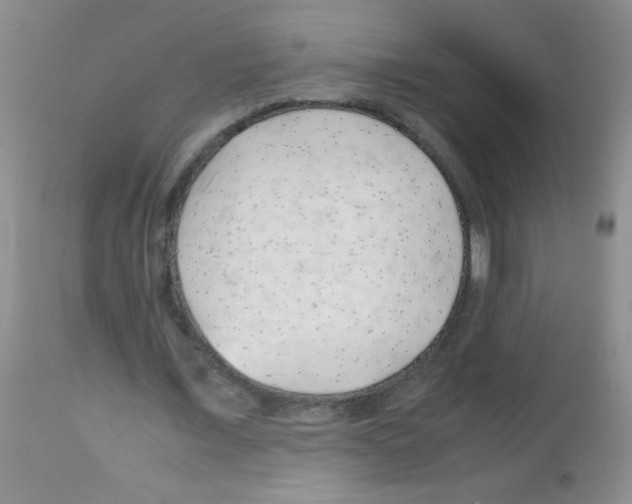 X0000113090675200910091258