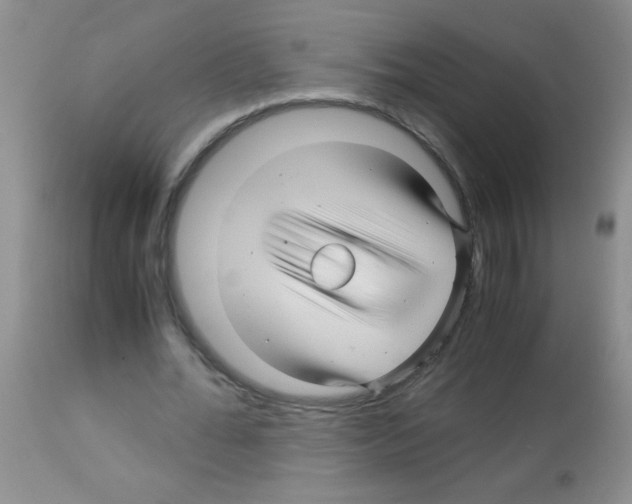 X0000113090676200910091258