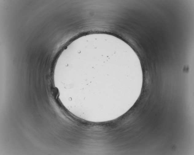 X0000113090677200910091258