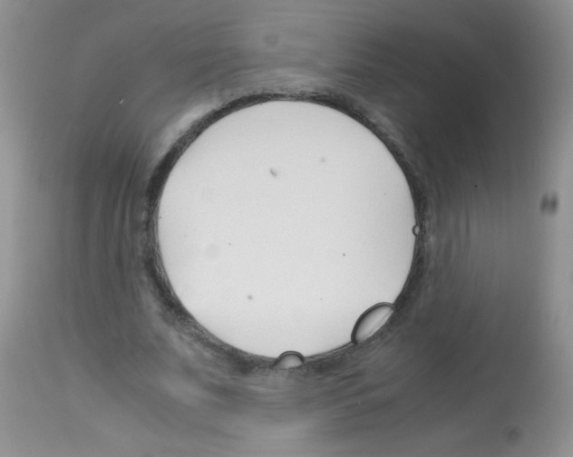 X0000113090679200910091258