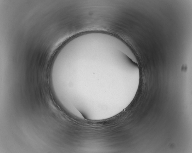 X0000113090680200910091258