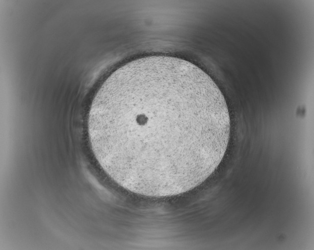 X0000113090683200910091258