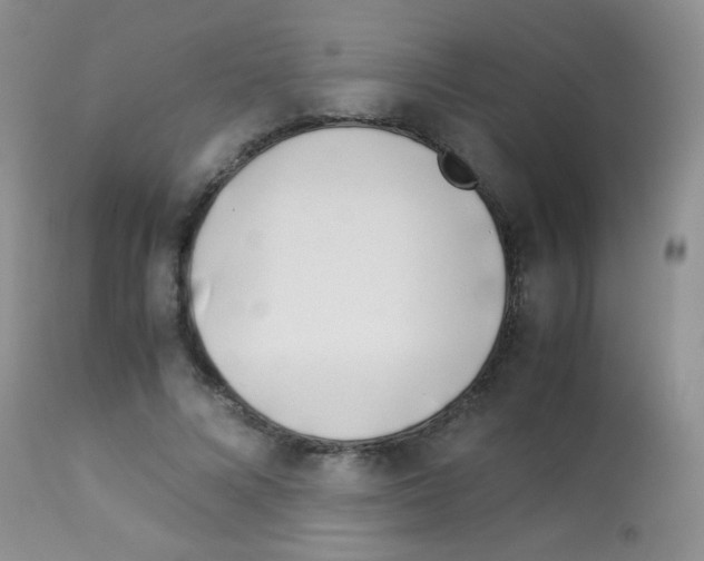 X0000113090688200910091258