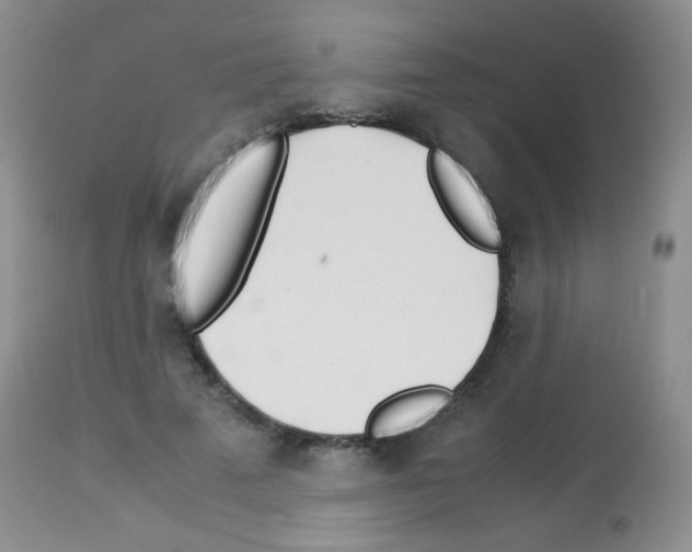 X0000113090689200910091258