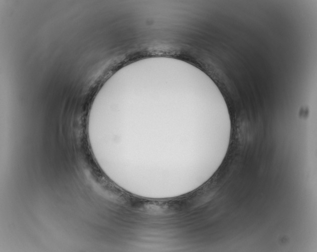X0000113090690200910091258