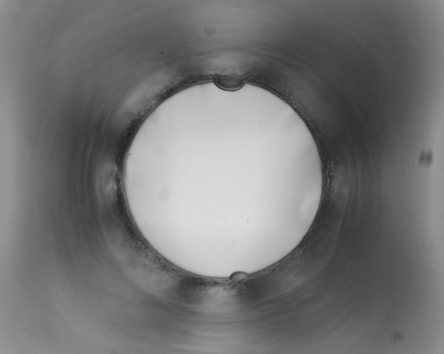 X0000113090692200910091258