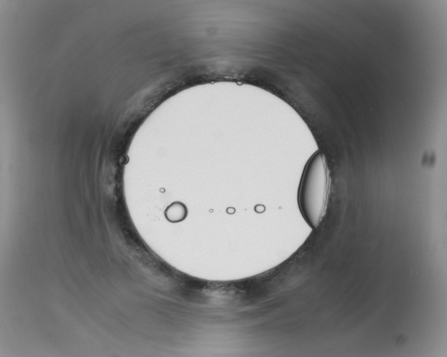 X0000113090693200910091258