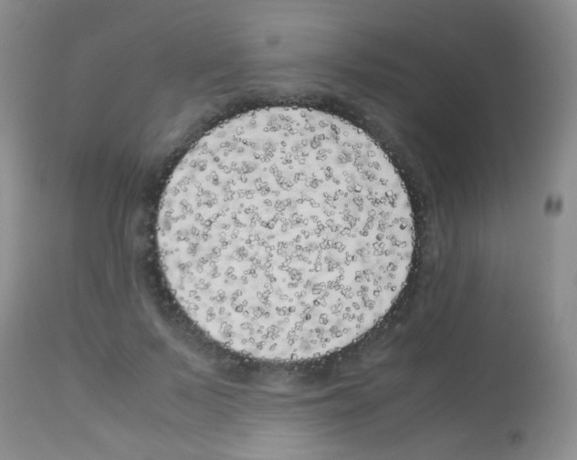 X0000113090695200910091258