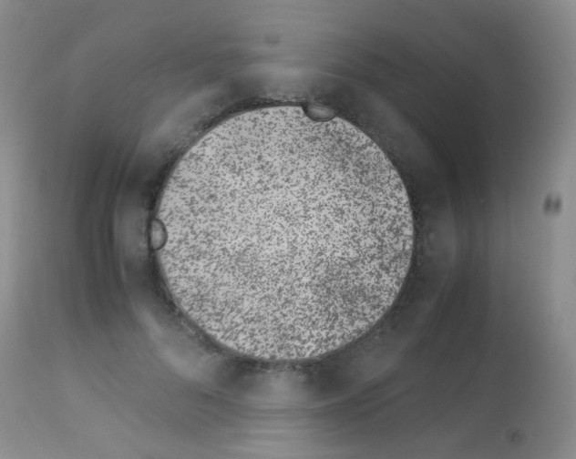 X0000113090696200910091258