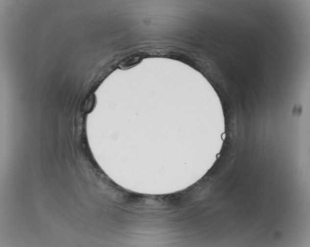 X0000113090697200910091257