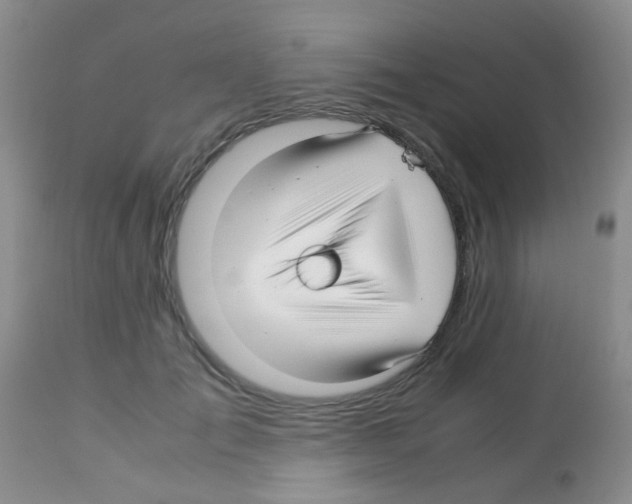 X0000113090701200910091257