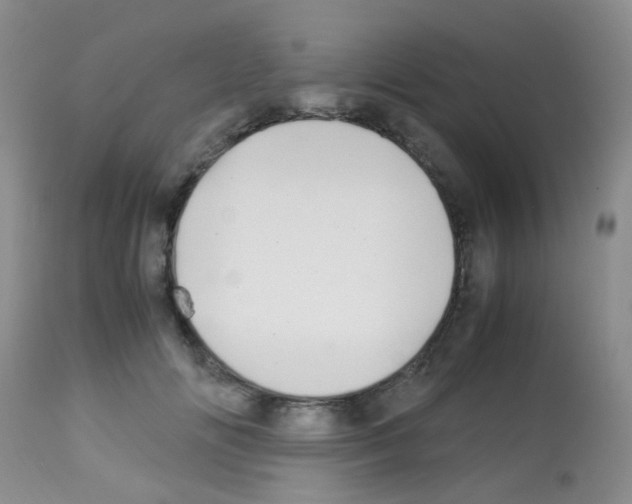 X0000113090702200910091257