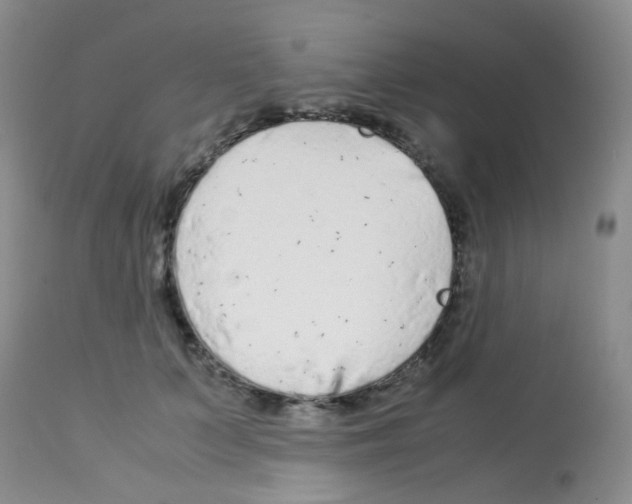 X0000113090703200910091257
