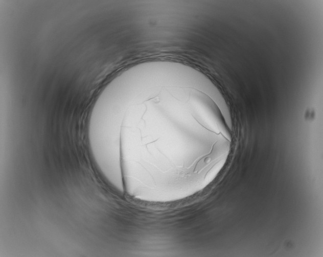 X0000113090704200910091257