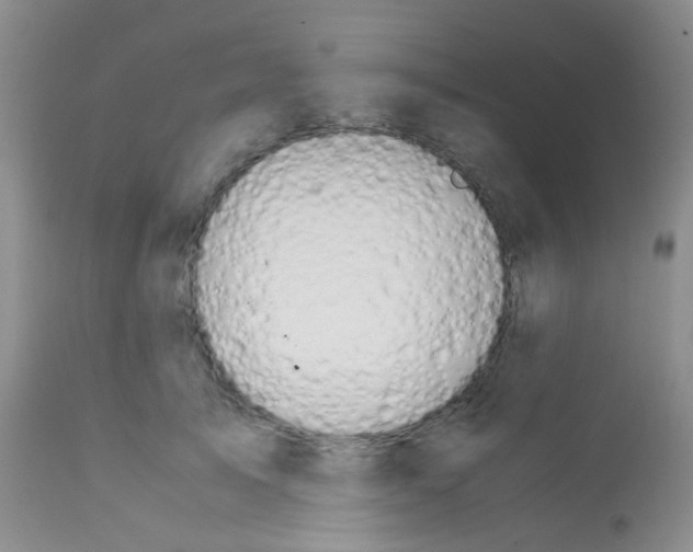 X0000113090705200910091257
