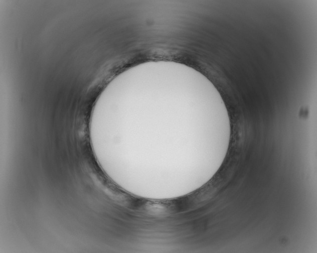 X0000113090706200910091257