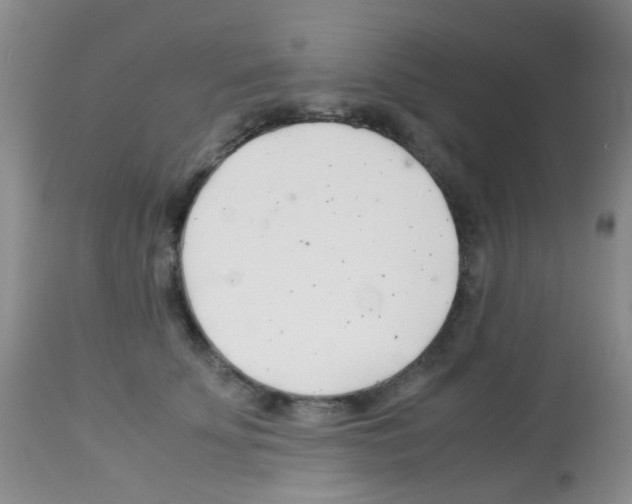 X0000113090707200910091257