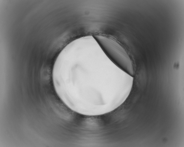 X0000113090708200910091257