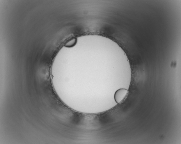 X0000113090709200910091257