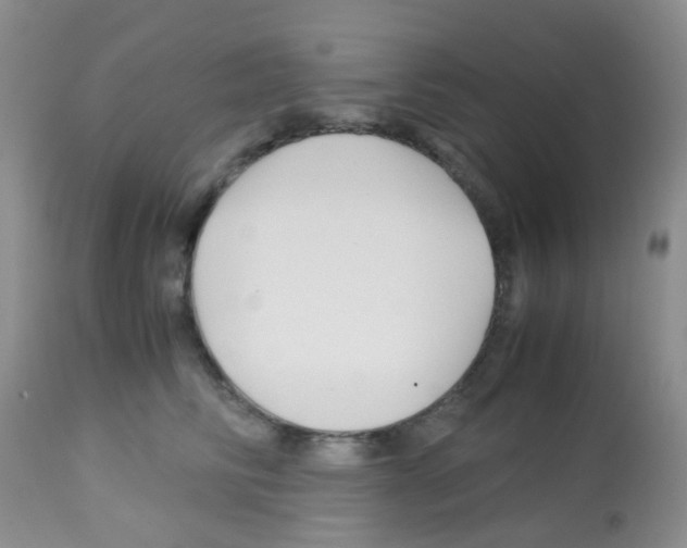 X0000113090710200910091257