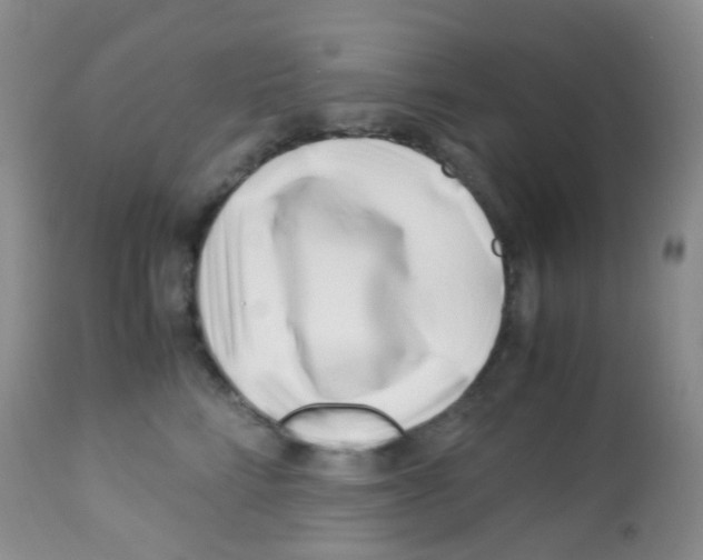 X0000113090712200910091257