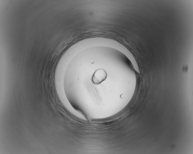 X0000113090713200910091257
