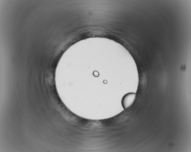 X0000113090715200910091257