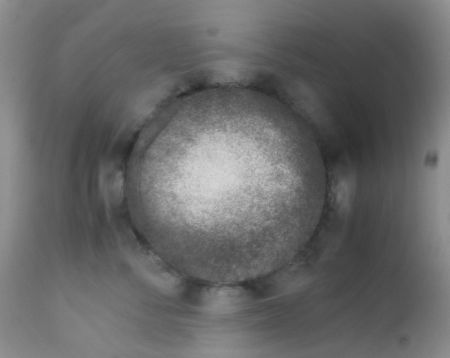 X0000113090716200910091257