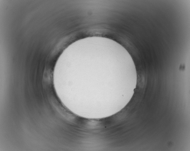 X0000113090718200910091257