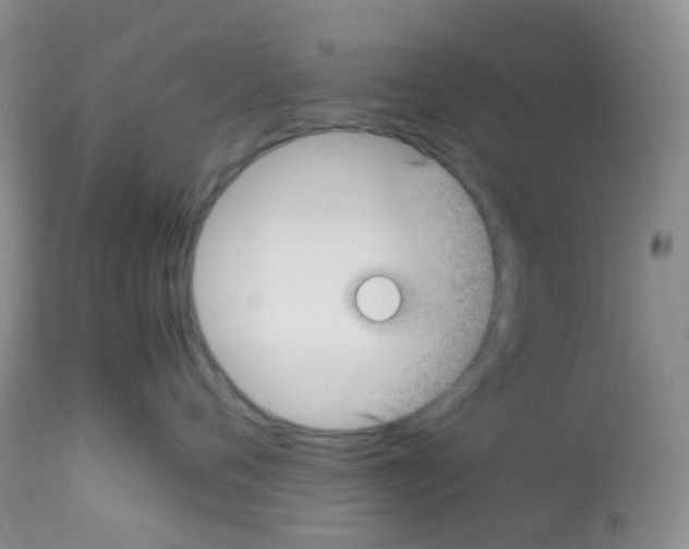 X0000113090720200910091257