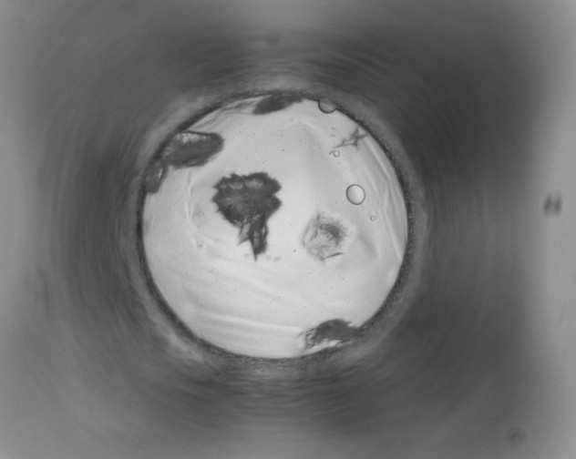 X0000113090721200910091256