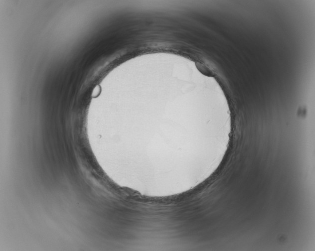 X0000113090722200910091256
