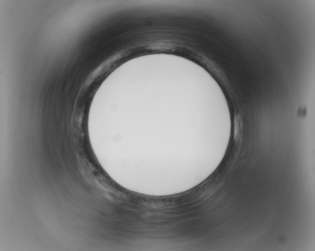 X0000113090723200910091256