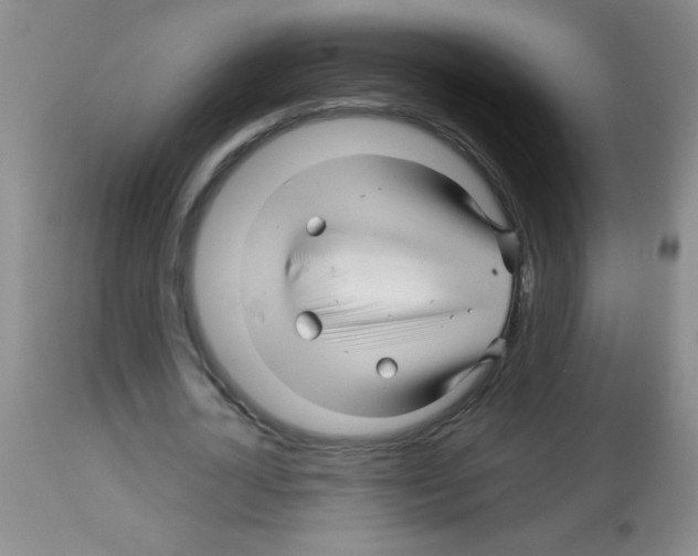 X0000113090724200910091256